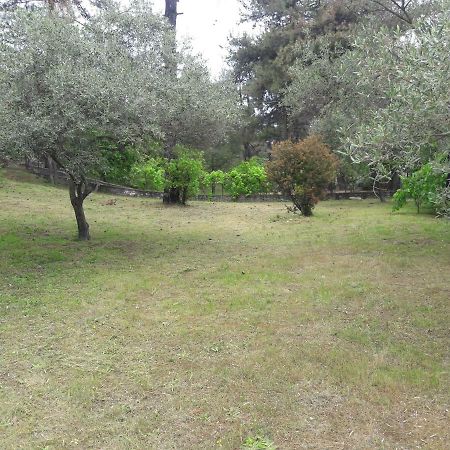 Glykadi Villa Leo מראה חיצוני תמונה