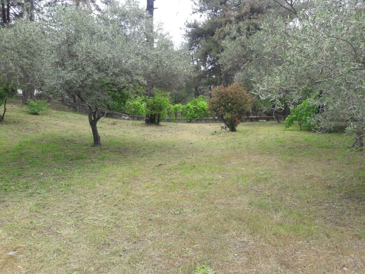 Glykadi Villa Leo מראה חיצוני תמונה