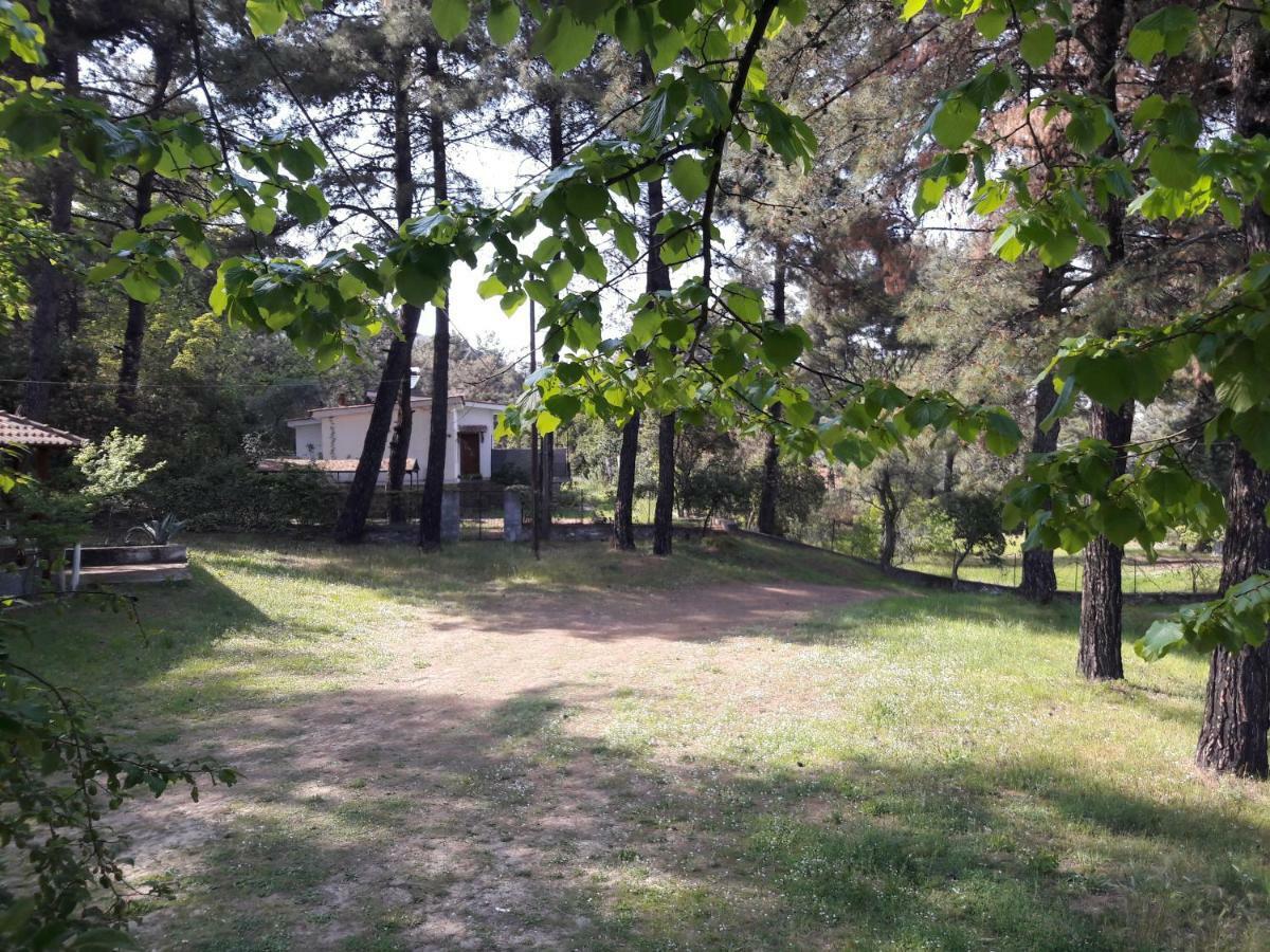 Glykadi Villa Leo מראה חיצוני תמונה