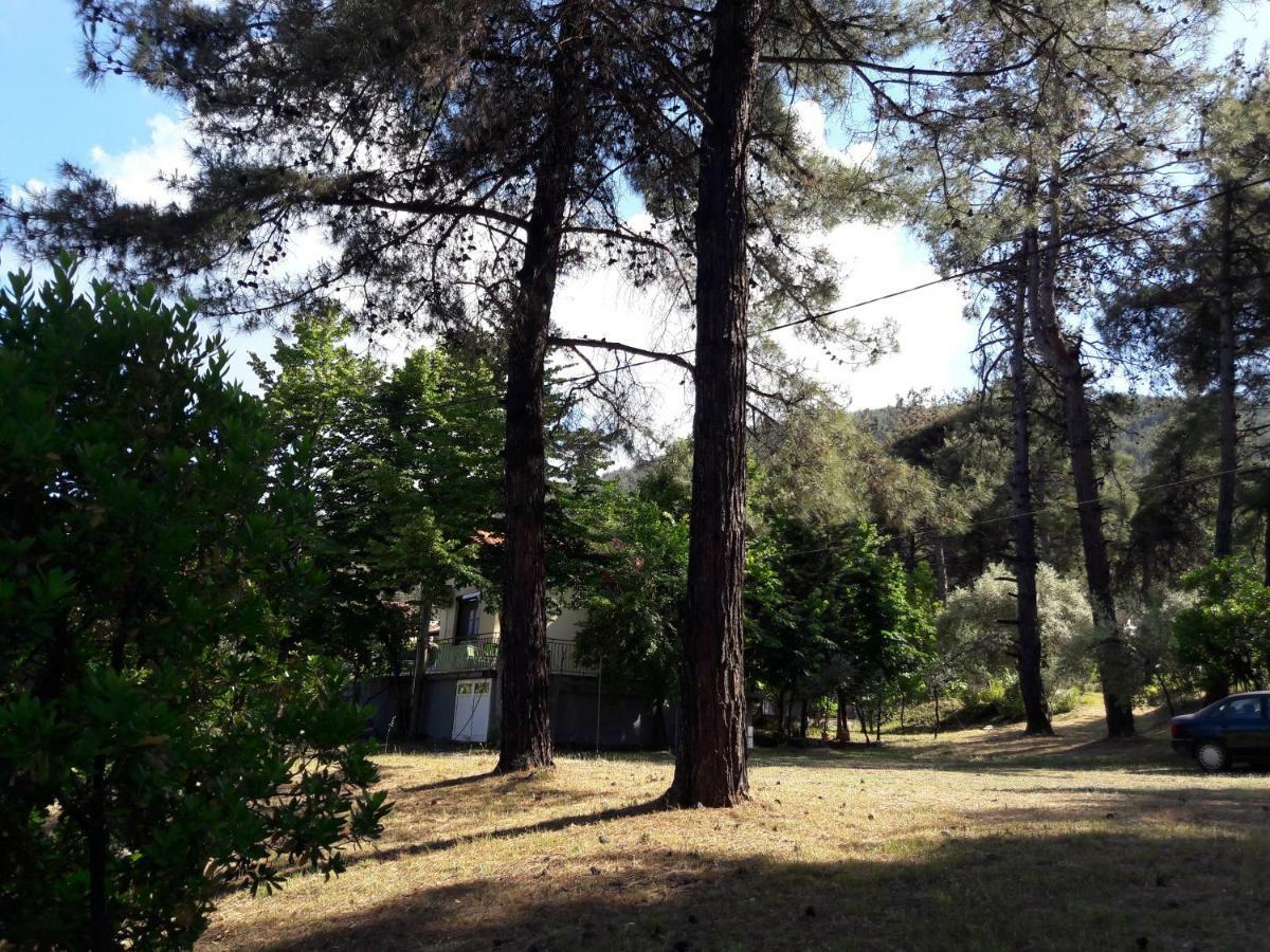 Glykadi Villa Leo מראה חיצוני תמונה
